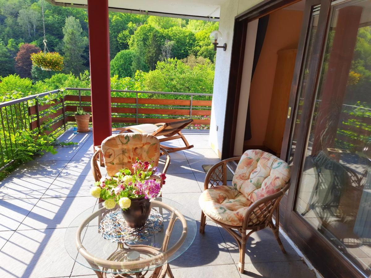 Ferienwohnung Rhododendron - Natur Pur Am Highwalk ローテンブルク・アン・デア・フルダ エクステリア 写真