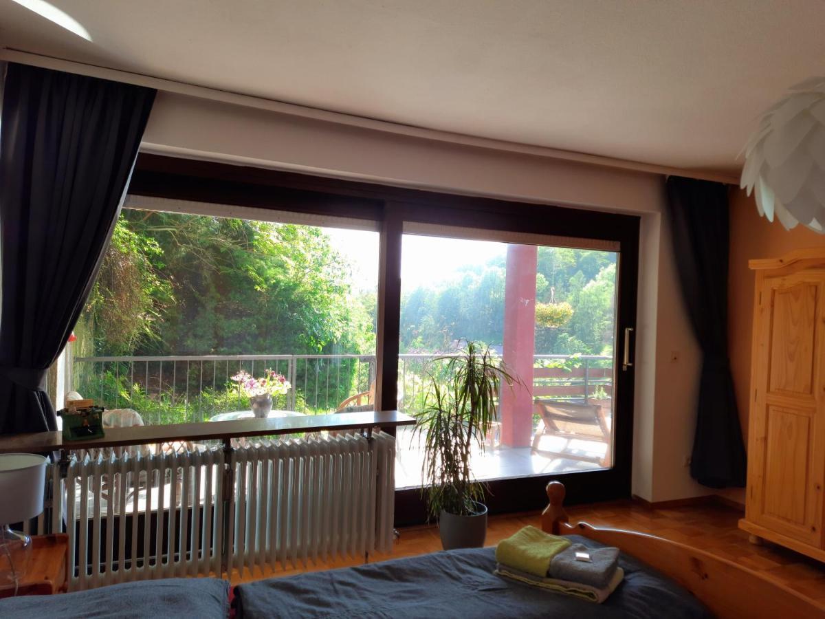 Ferienwohnung Rhododendron - Natur Pur Am Highwalk ローテンブルク・アン・デア・フルダ エクステリア 写真
