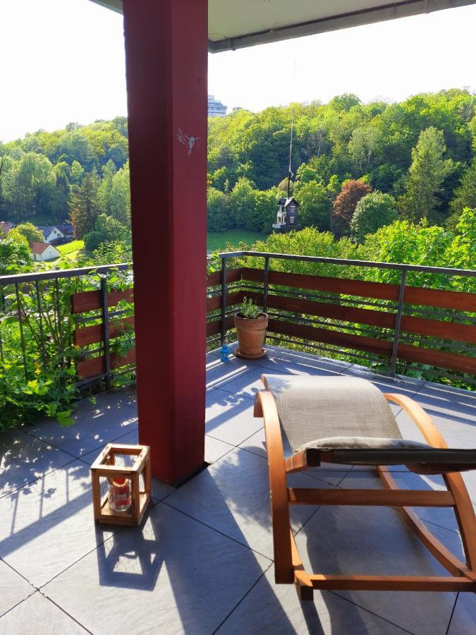 Ferienwohnung Rhododendron - Natur Pur Am Highwalk ローテンブルク・アン・デア・フルダ エクステリア 写真