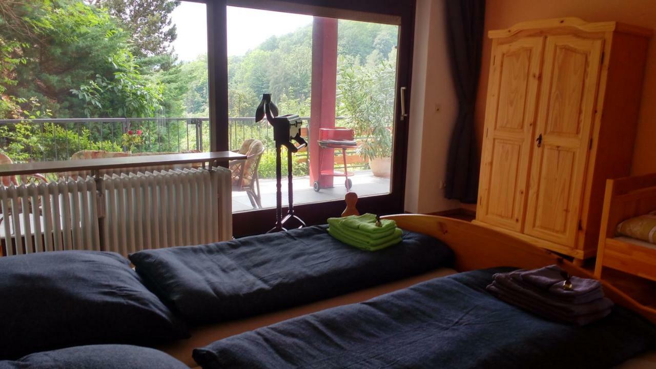 Ferienwohnung Rhododendron - Natur Pur Am Highwalk ローテンブルク・アン・デア・フルダ エクステリア 写真