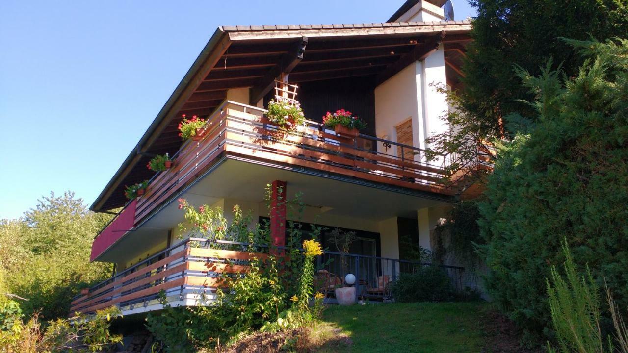 Ferienwohnung Rhododendron - Natur Pur Am Highwalk ローテンブルク・アン・デア・フルダ エクステリア 写真